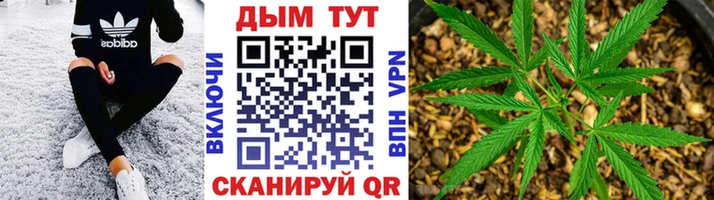 Конопля Ganja  Черемхово 